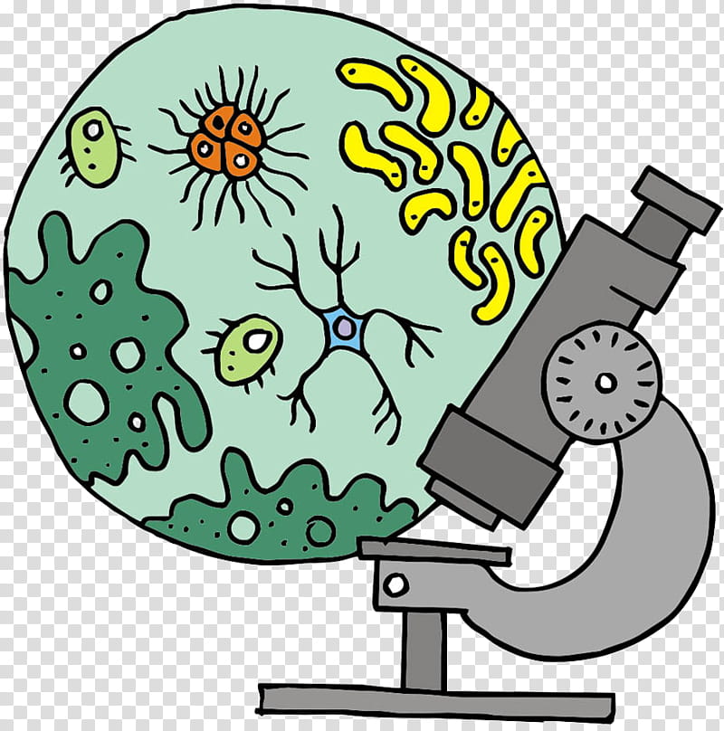 Bacteria, Microscope, Mac Toys Microscope Set Microscope, Biology , Cartoon, Microscopy, Unicellular Organism, Science transparent background PNG clipart