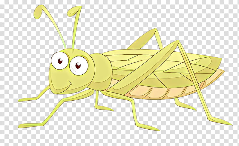 Grasshopper Insect, Locust, Pest, Membrane, Cricketlike Insect, Cartoon, Oecanthidae, Bug transparent background PNG clipart
