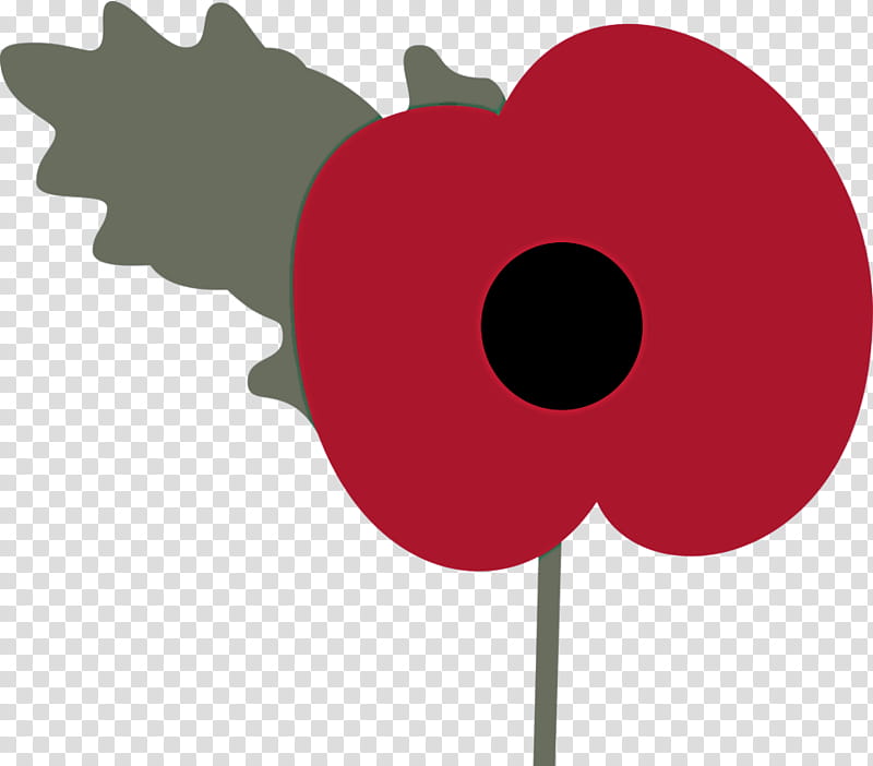 flower poppy plant poppy family, Coquelicot transparent background PNG clipart