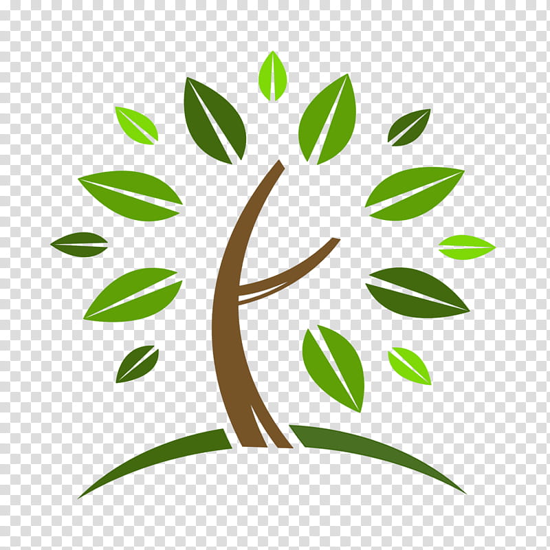 Oak Tree Leaf, Green, Wood, Idea, Color, Tree Planting, Logo, Twig transparent background PNG clipart