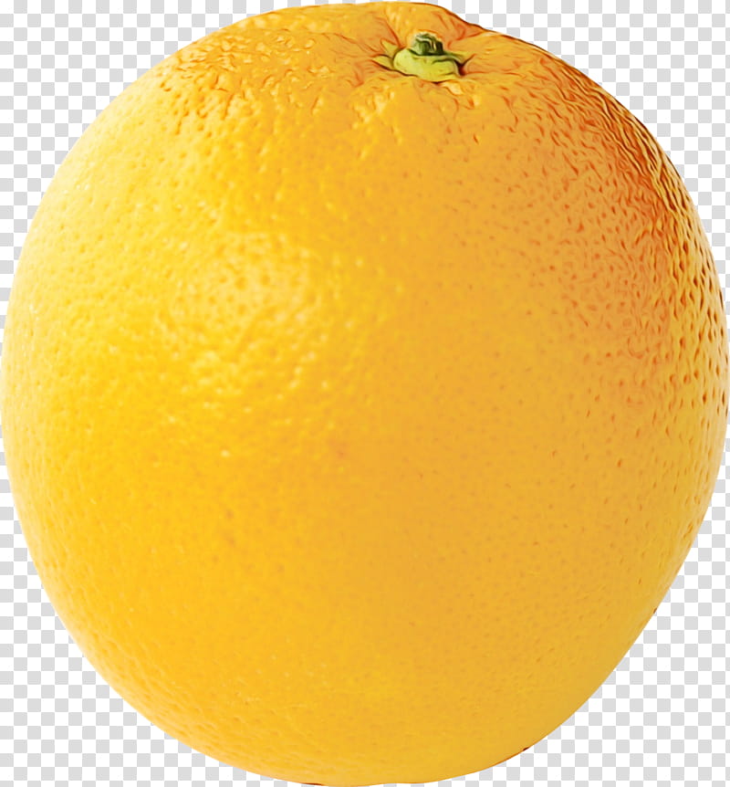 Lemon, Clementine, Mandarin Orange, Tangelo, Rangpur, Grapefruit, Bitter Orange, Citron transparent background PNG clipart