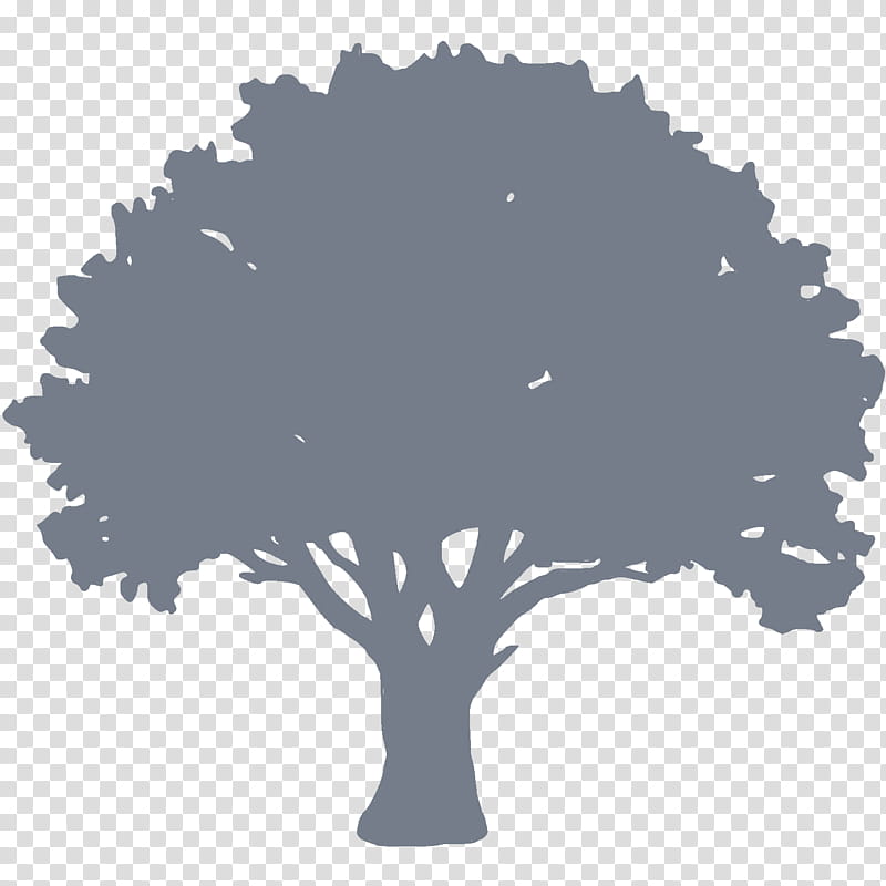 Family Tree Silhouette, Apartment, Lifestyle, Hotel, Health Care, Home, Renting, Restaurant transparent background PNG clipart