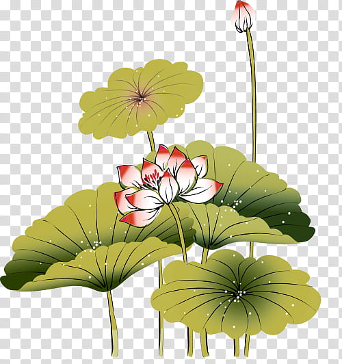 Lily Flower, Ink Wash Painting, Shan Shui, Birdandflower Painting, Chinese Painting, Gongbi, Leaf, Plant transparent background PNG clipart