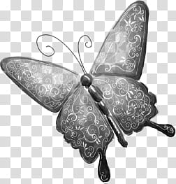 Butterflys PS Brushes, gray and black butterfly transparent background PNG clipart