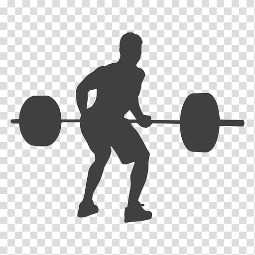 Fitness, Exercise, Squat, Olympic Weightlifting, Weight TRAINING, Physical Fitness, Barbell, Fitness Centre transparent background PNG clipart