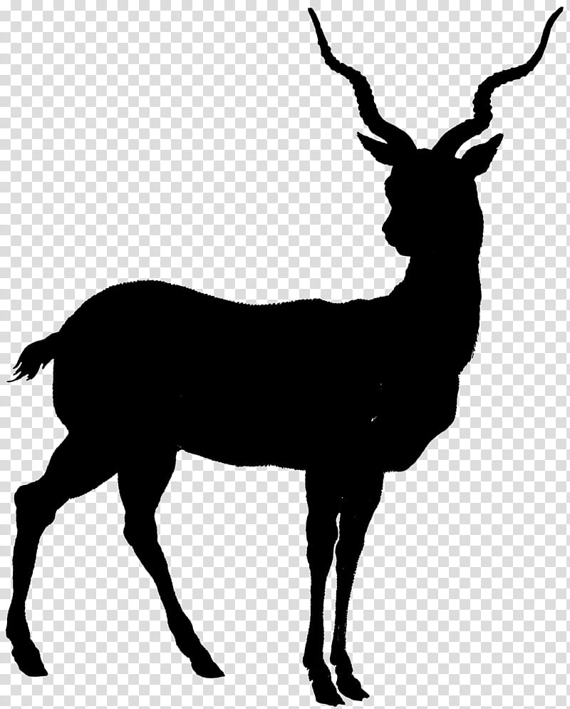 Drawing Of Family, Deer, Silhouette, Antelope, Elk, Wildlife, Chamois, Horn transparent background PNG clipart