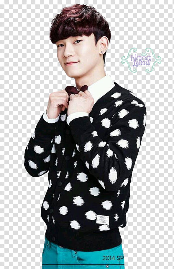 EXO CHEN , man wearing black and white sweater transparent background PNG clipart