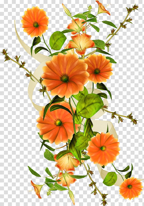 Bouquet Of Flowers Drawing, Floral Design, Collage, Plant, Petal, Cut Flowers, English Marigold, Wildflower transparent background PNG clipart
