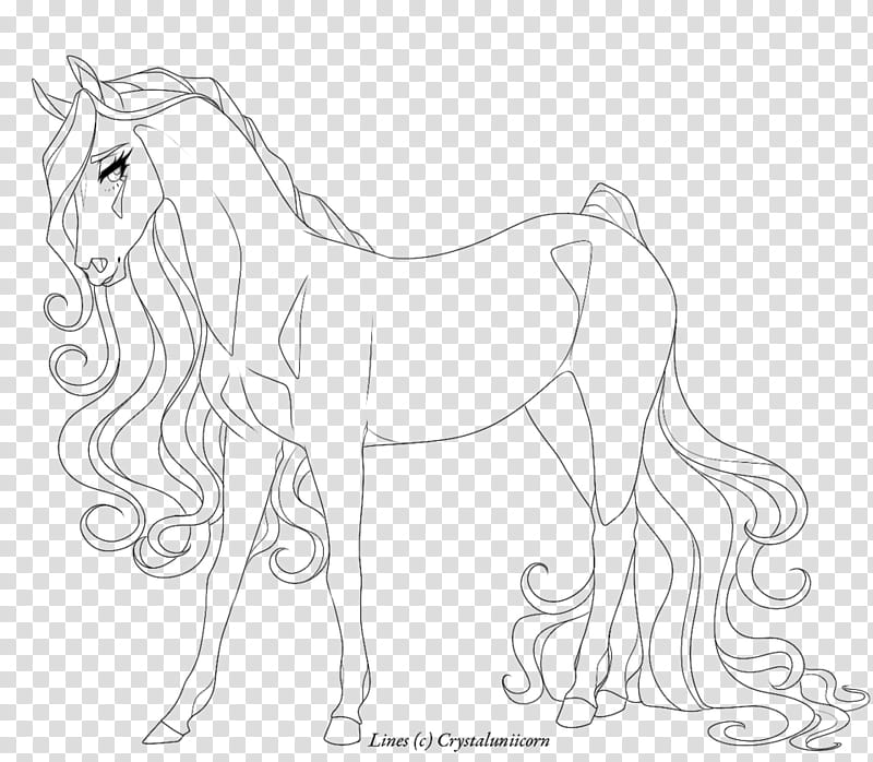 Book Black And White, Line Art, Drawing, Horse, Artist, Pony, Art Museum, Cartoon transparent background PNG clipart