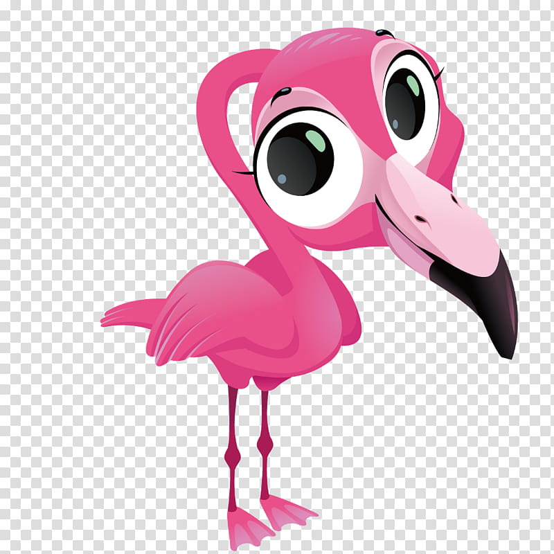 Flamingo, Greater Flamingo, Bird, Pink, Cartoon, Water Bird, Beak, Animation transparent background PNG clipart