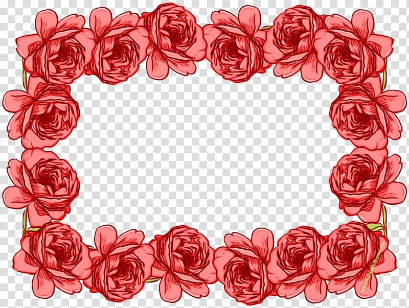 Red Rose Frame, Frames, Flower, Garden Roses, Floral Design, Cabbage Rose, Blue Rose, Pink transparent background PNG clipart