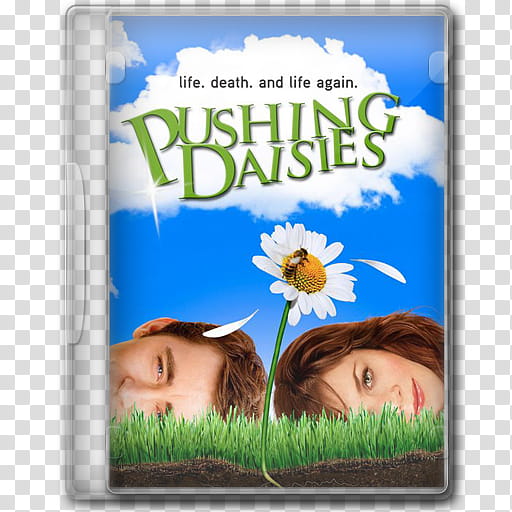 Series DVD Icons : + ICNS, Pushing Daisies transparent background PNG clipart