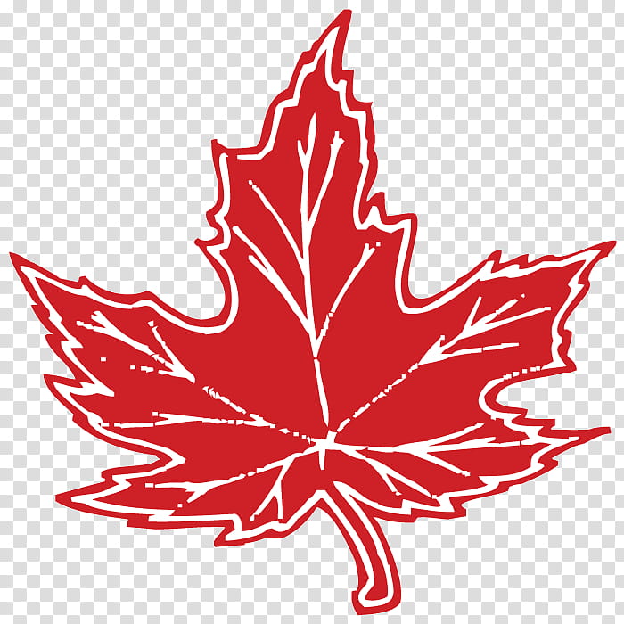 Canada Maple Leaf, Canada Day, Red Maple, Flag Of Canada, Japanese Maple, Maple Syrup, Silver, Ontario transparent background PNG clipart