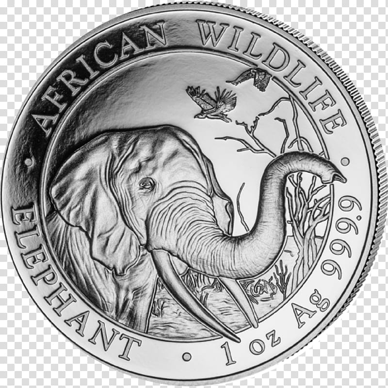 Indian elephant, Coin, Somalia, Silver Coin, Gold, Privy Mark, African Bush Elephant, Coin Grading transparent background PNG clipart