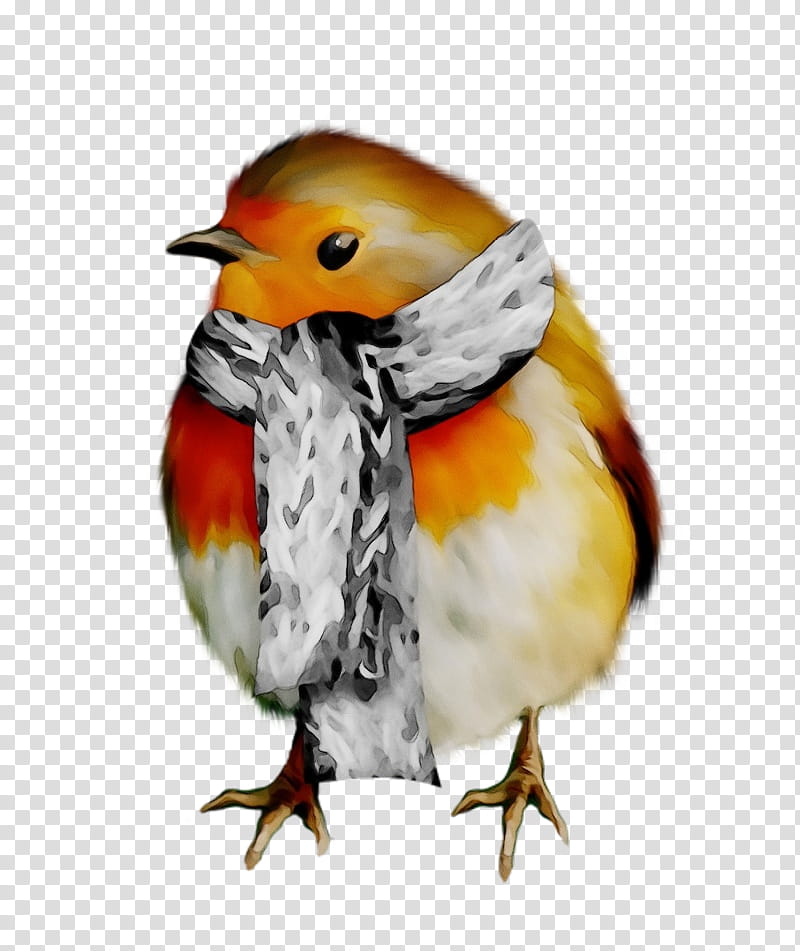bird european robin beak old world flycatcher songbird, Watercolor, Paint, Wet Ink, Perching Bird, Finch transparent background PNG clipart