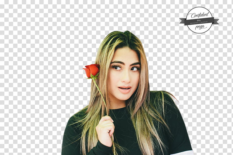 ALLY BROOKE , Ally Brooke () icon transparent background PNG clipart