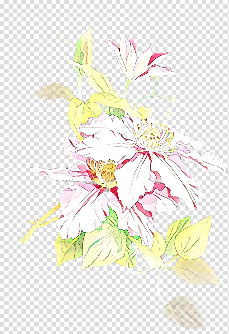 Bouquet Of Flowers Drawing, Floral Design, Cut Flowers, Flower Bouquet, Plant Stem, Petal, Plants, Peony transparent background PNG clipart