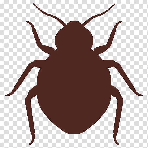 insect pest parasite tick beetle, Bug, Darkling Beetles transparent background PNG clipart