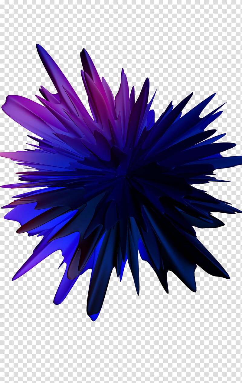 Blue Flower, Symmetry, Cobalt Blue, Purple, Violet, Electric Blue, Plant transparent background PNG clipart