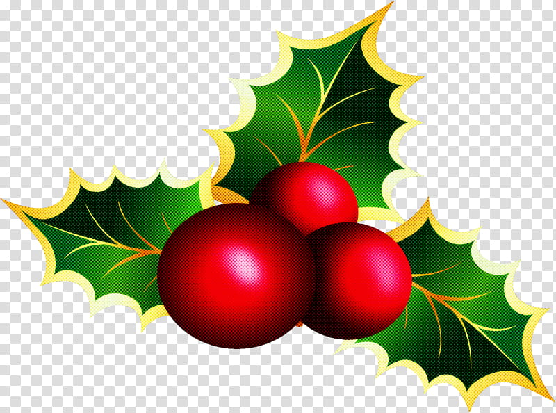 Holly, Leaf, Plant, American Holly, Fruit, Tree, Hollyleaf Cherry, Berry transparent background PNG clipart