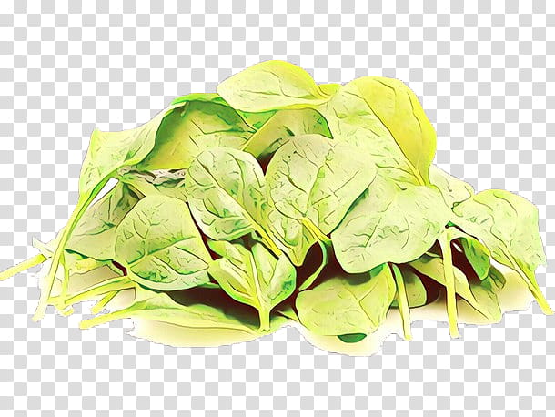 leaf plant food flower leaf vegetable, Choy Sum, Herb, Spinach transparent background PNG clipart