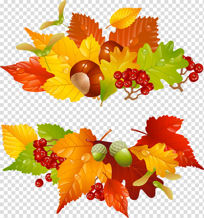 Autumn Leaves, Wreath, Trees And Leaves, Laurel Wreath, Leaf, Autumn Leaf Color, Season, Flower transparent background PNG clipart