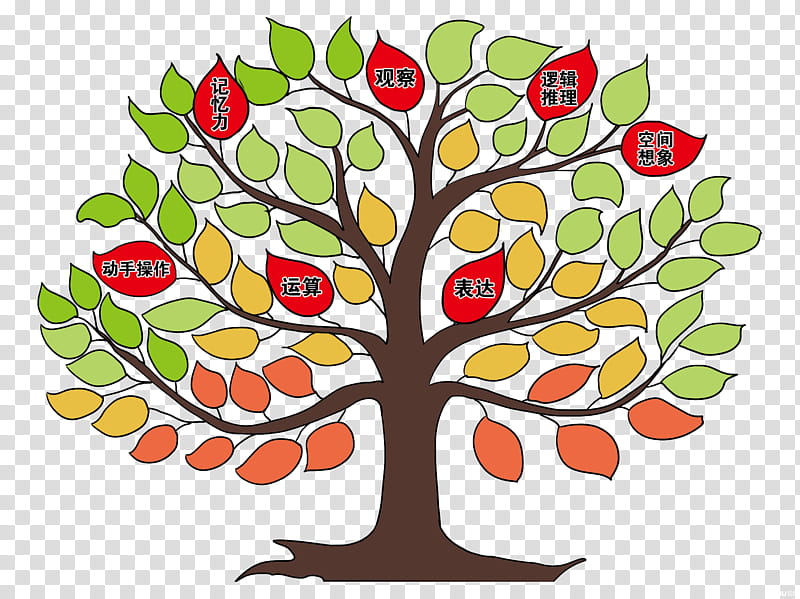 Floral Flower, Communist Party Of China, Beijing, Mathematics, Learning, Tree, Woody Plant, Leaf transparent background PNG clipart