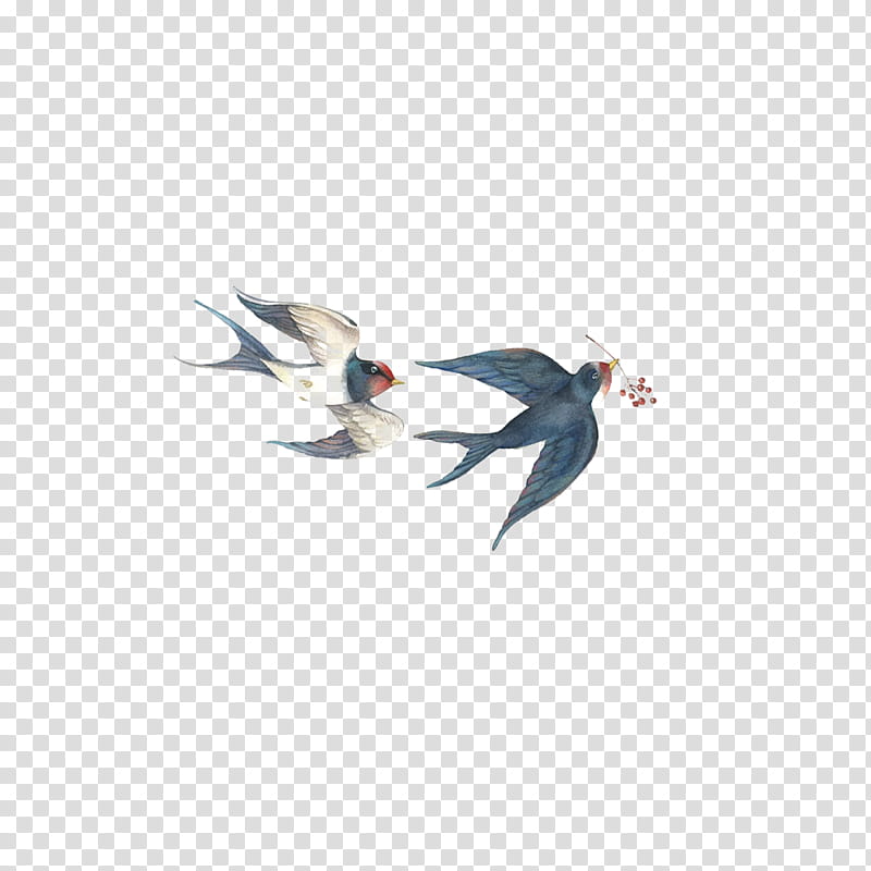 Swallow Bird, Ink Wash Painting, Festival, Qingming Festival, White, Wing, Perching Bird transparent background PNG clipart