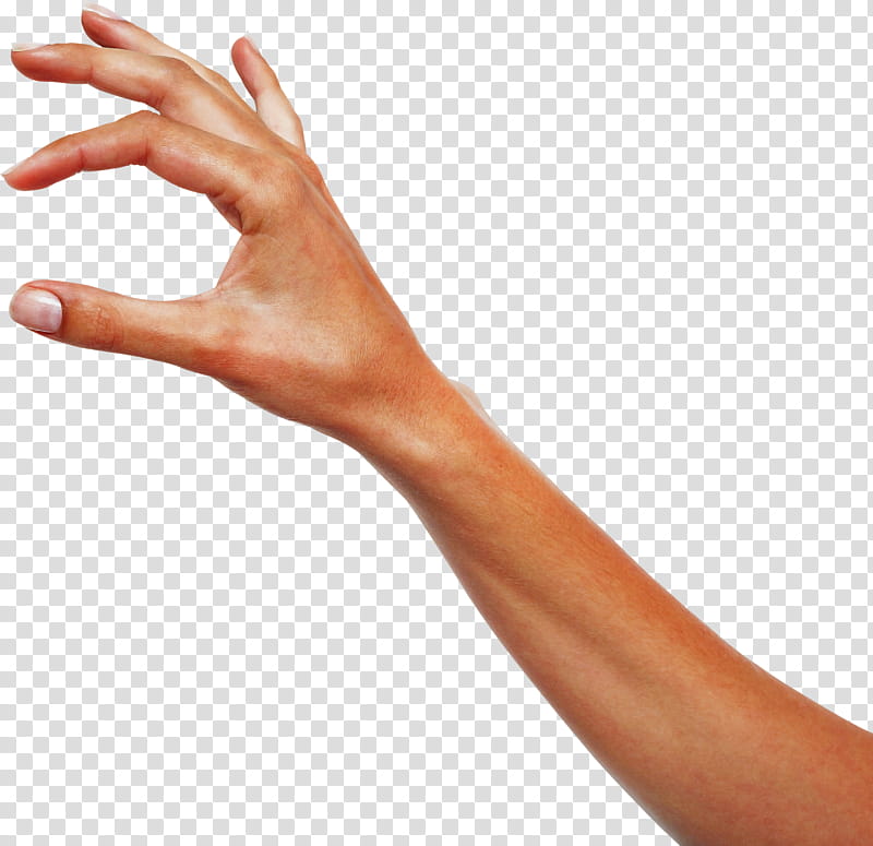 finger hand arm skin joint, Wrist, Gesture, Nail, Elbow, Thumb transparent background PNG clipart