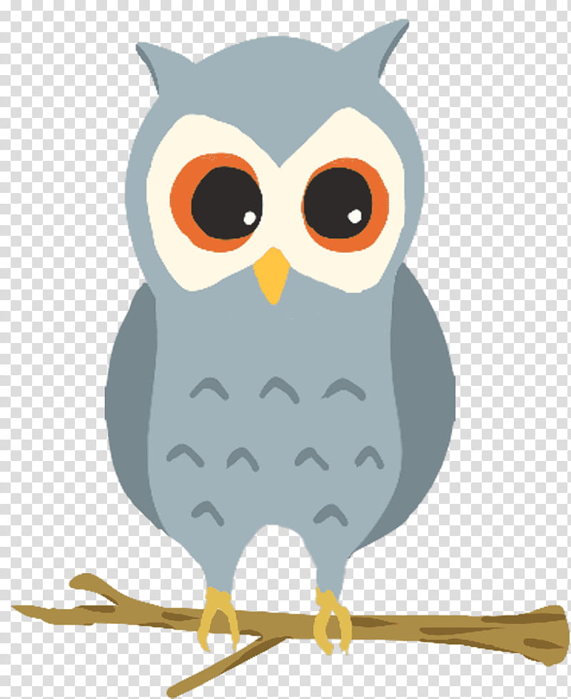 Owl, Tshirt, Bird, Hoodie, Ural Owl, Bird Of Prey, Beak, Horned Owls And Eagleowls transparent background PNG clipart
