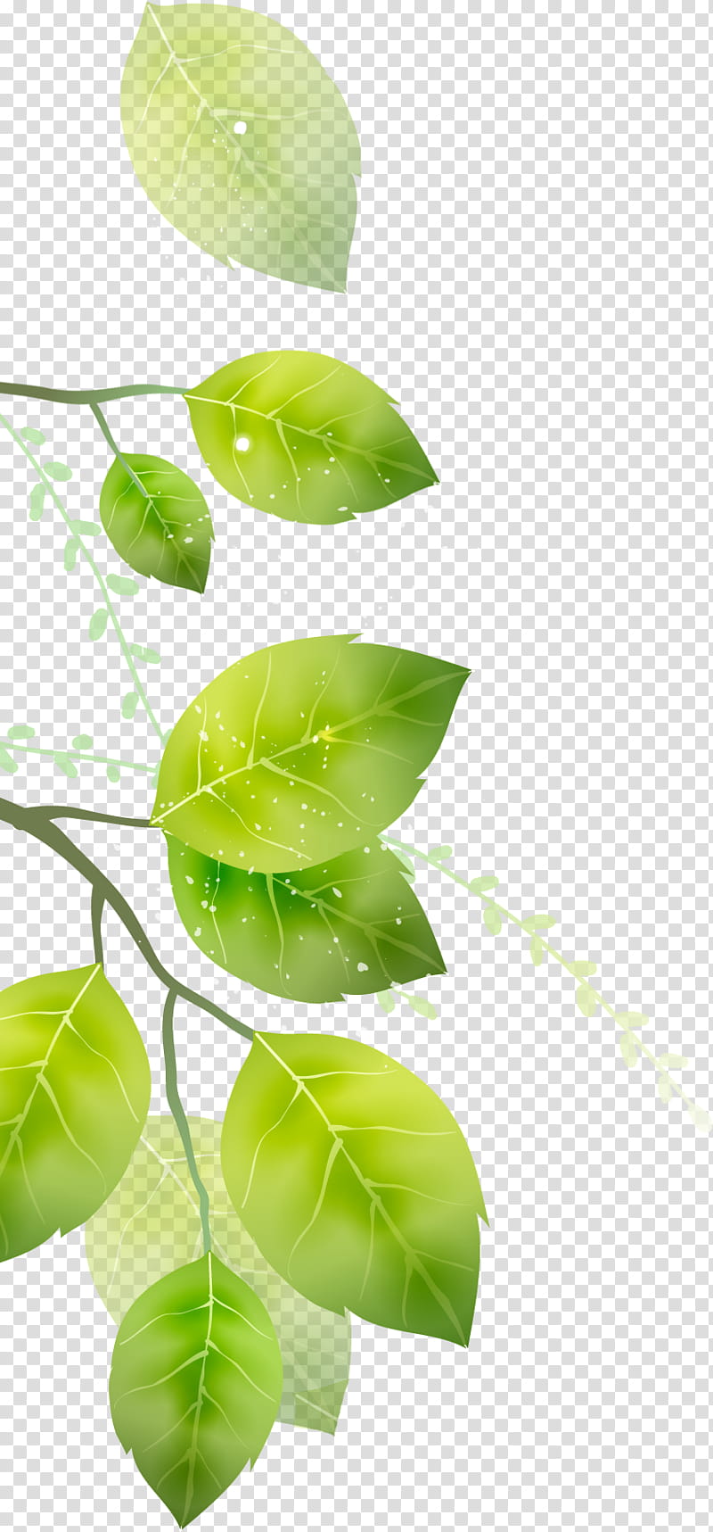 Green Leaf, Blog, South Korea, Plant Stem, Naver, Daum, Travel, Goal transparent background PNG clipart