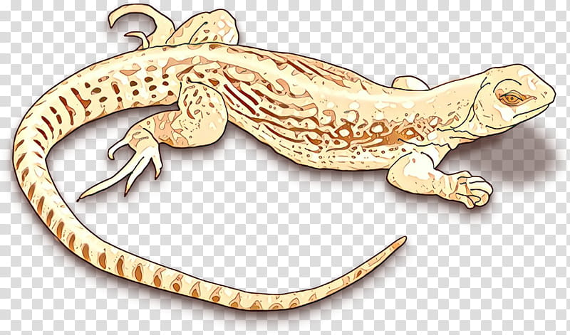 Dragon Drawing, Lizard, Reptile, Chameleons, Komodo Dragon, Common Iguanas, Gecko, Scaled Reptiles transparent background PNG clipart