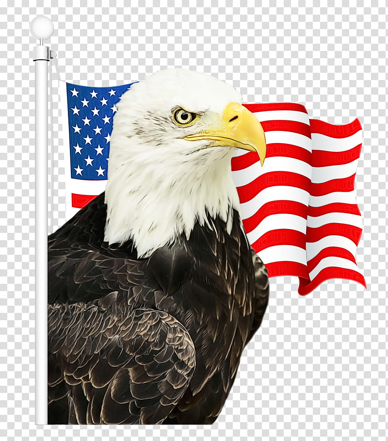 Fourth Of July, 4th Of July, Independence Day, American Flag, Eagle, United States, Flag Of The United States, Flag Of Croatia transparent background PNG clipart