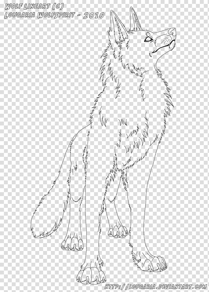 Free lineart Wolf standing, wolf illustration transparent background PNG clipart