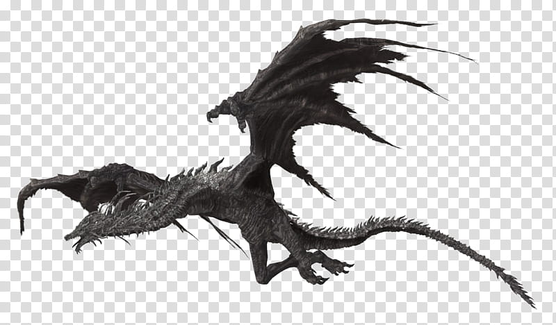 Lotric Wyverns, black dragon illustration transparent background PNG clipart
