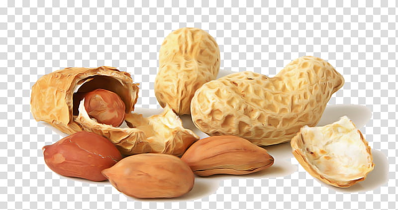 nut peanut food nuts & seeds apricot kernel, Nuts Seeds, Ingredient, Plant, Legume, Walnut transparent background PNG clipart