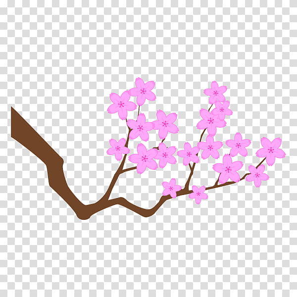 Cherry Blossom Tree Drawing, Japan, Cartoon, Caricature, Pink, Logo, Color, Flower transparent background PNG clipart