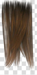 DOALR Mugen Tenshin Shinobi for XNALara XPS, brown hair transparent background PNG clipart