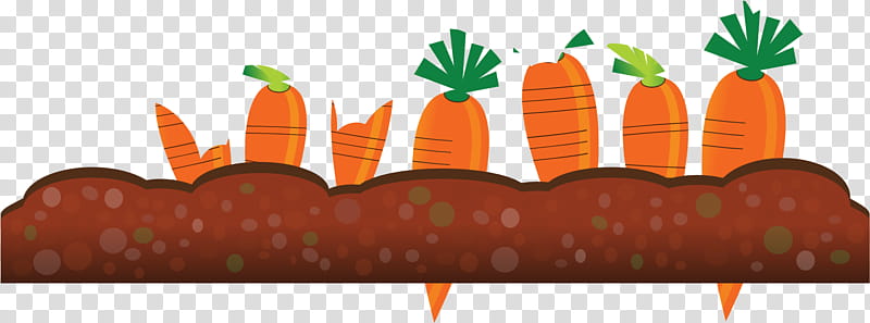 Carrot, Crop, Agriculture, Intensive Crop Farming, Wheat, Commodity, Vegetable, Baby Carrot transparent background PNG clipart