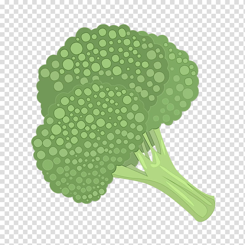green broccoli cruciferous vegetables leaf vegetable leaf, Watercolor, Paint, Wet Ink, Plant transparent background PNG clipart