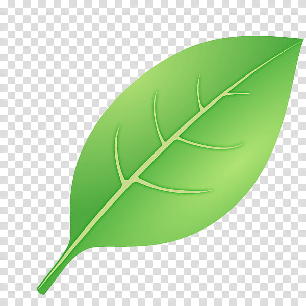 Green Leaf, Packungsdesign, Food, Branch, Plants, Computer Graphics, Category Of Being transparent background PNG clipart