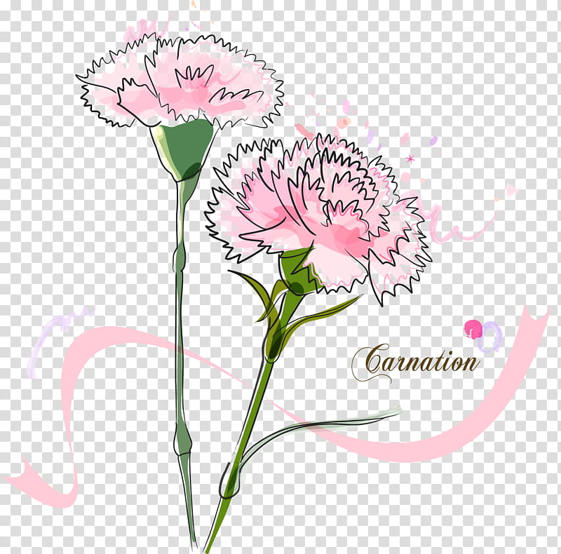 Teachers Day Education, Carnation, Madonna Of The Carnation, Mothers Day, Cartoon, School
, Education
, Flower transparent background PNG clipart