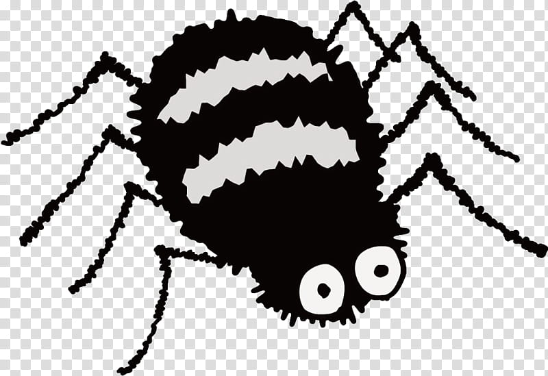 spider halloween, Halloween , Arachnid, Pest transparent background PNG clipart
