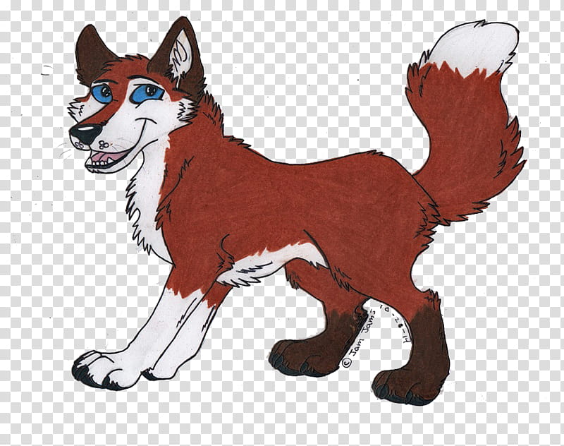 Wolf, Dog, RED Fox, Character, Red Wolf, Animal, Fox News, Tail transparent background PNG clipart