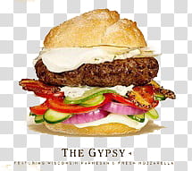 The Gypsy burger graphic transparent background PNG clipart