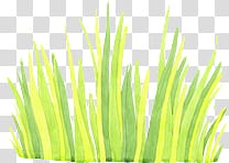 Easter watercolor, green plant illustration transparent background PNG clipart