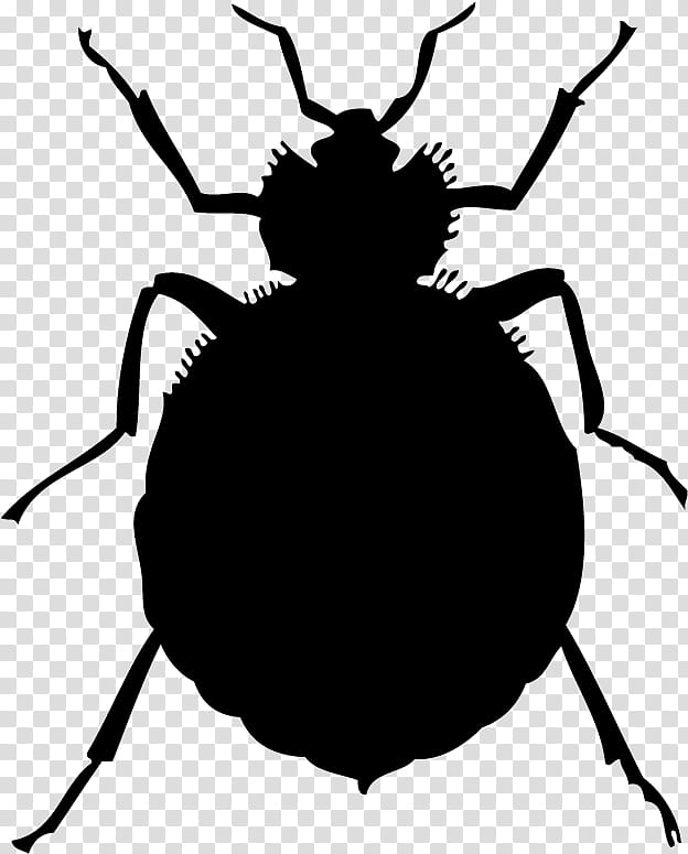 Bed, Bed Bug Bite, Bed Bug Control Techniques, Insect, Pest Control, Bedbug, Exterminator, Infestation transparent background PNG clipart