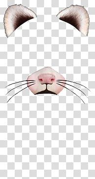 snapchat Filters Filtros o efectos de Snapchat, white cat ears and whiskers illustration transparent background PNG clipart