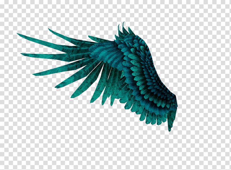 Wings, blue wings transparent background PNG clipart
