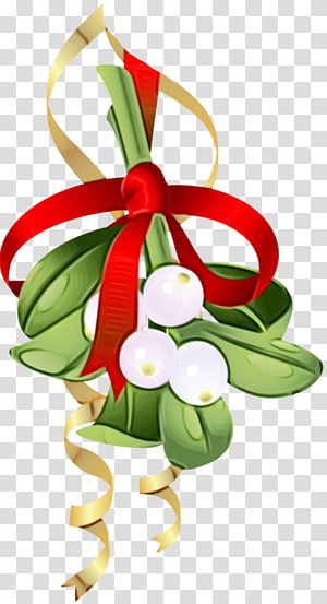 Christmas decoration, Watercolor, Paint, Wet Ink, Plant, Christmas Ornament, Flower, Interior Design transparent background PNG clipart thumbnail